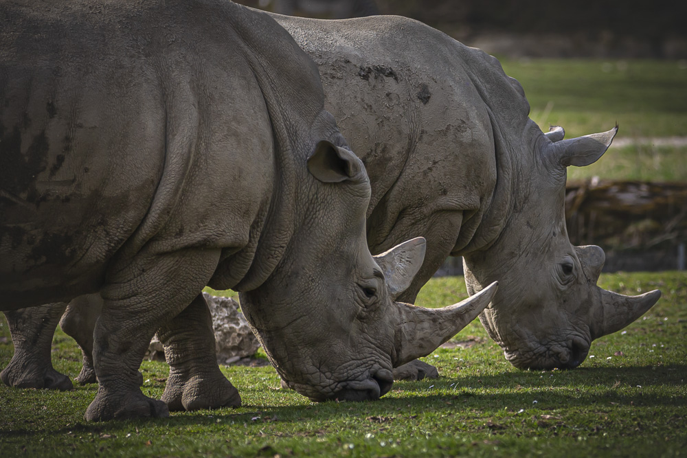 Platz 9 Guenter Bollenbacher